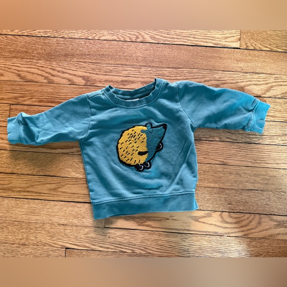 Hanna Andersson Hedgehog Sweatshirt - Size 12-18 Months - Picture 1 of 2